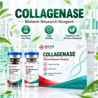 CGE kollagenaas C-MAM-03 piimakoe dissotsiatsiooni jaoks